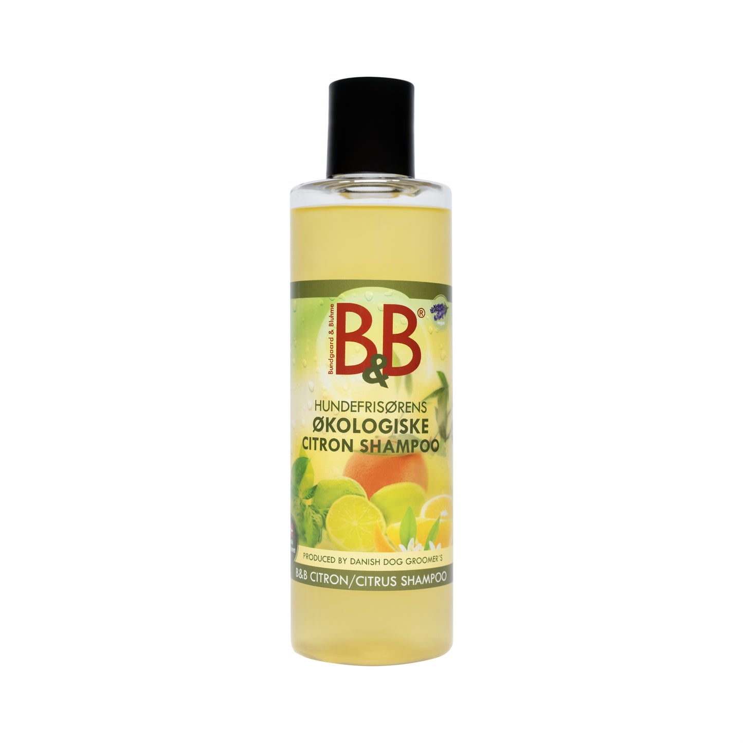 Citrus shampoo