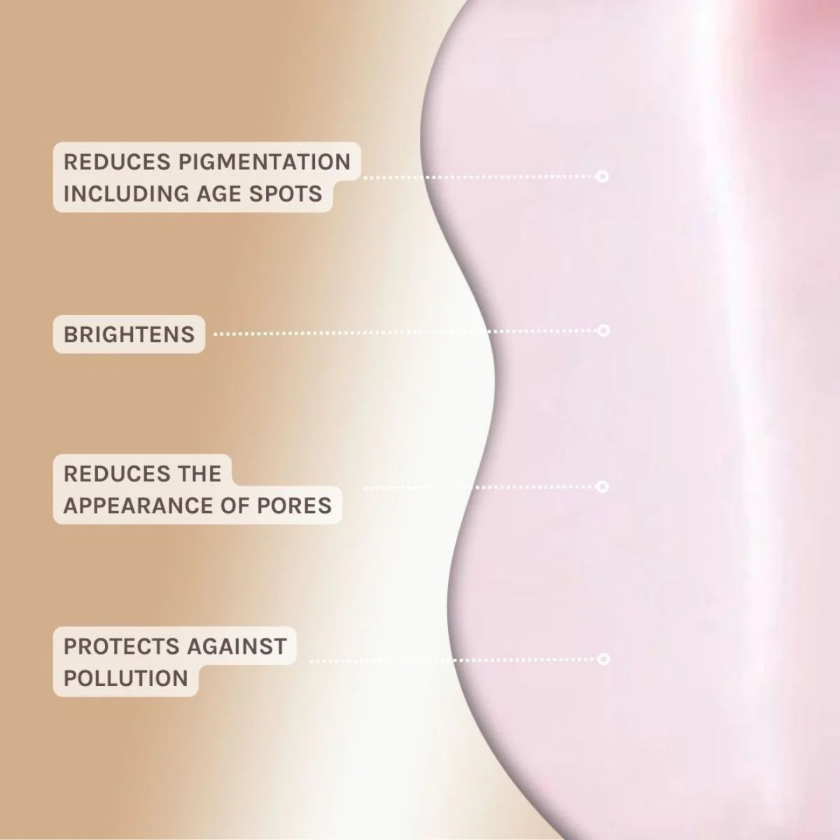 Evolve - resveratrol + niacinamide serum 30 ML