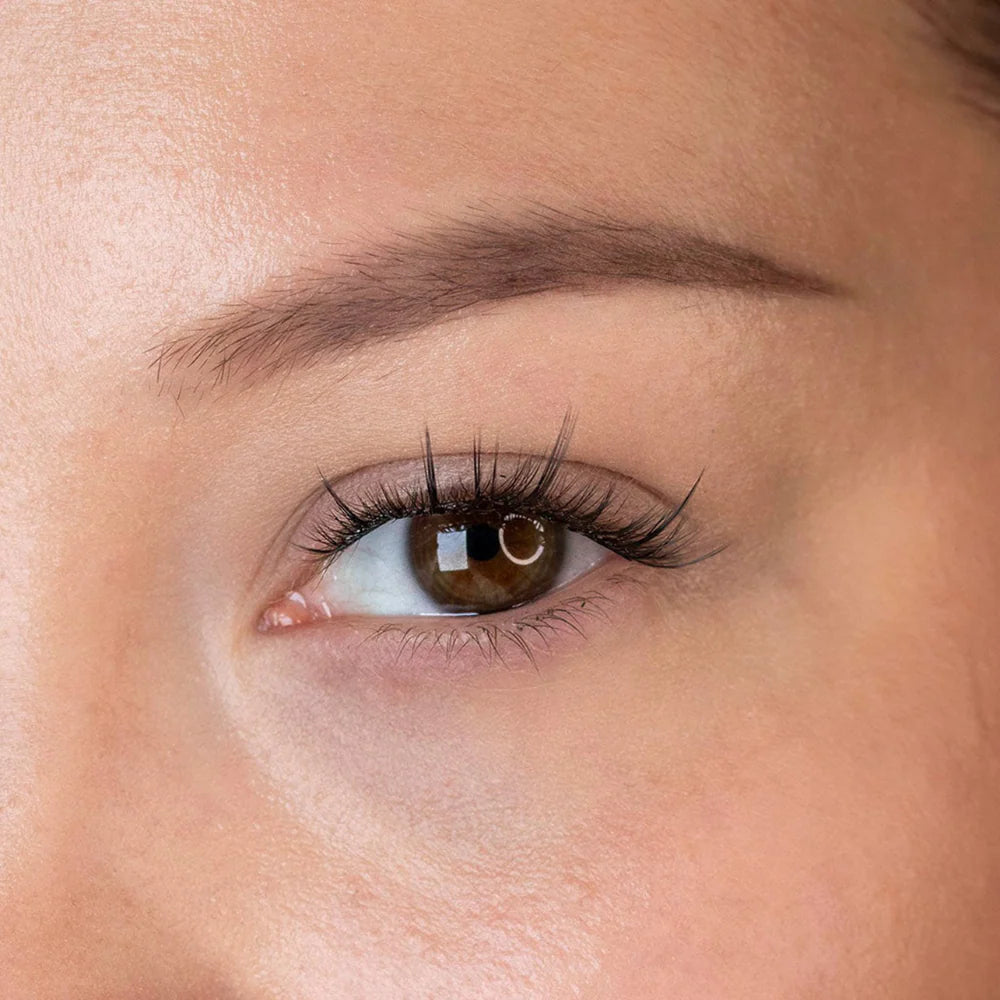 Press & Go Underlash Kit