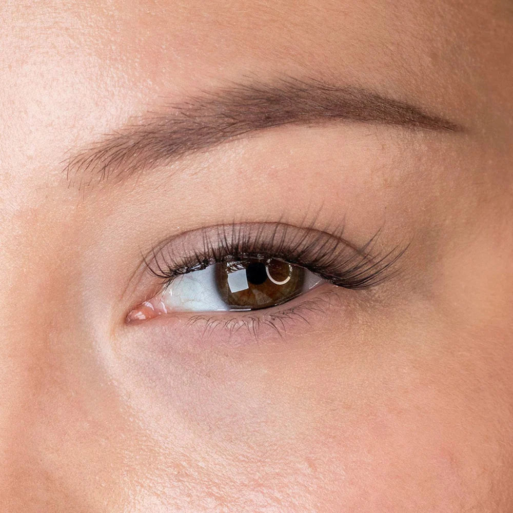 Press & Go Underlash Kit
