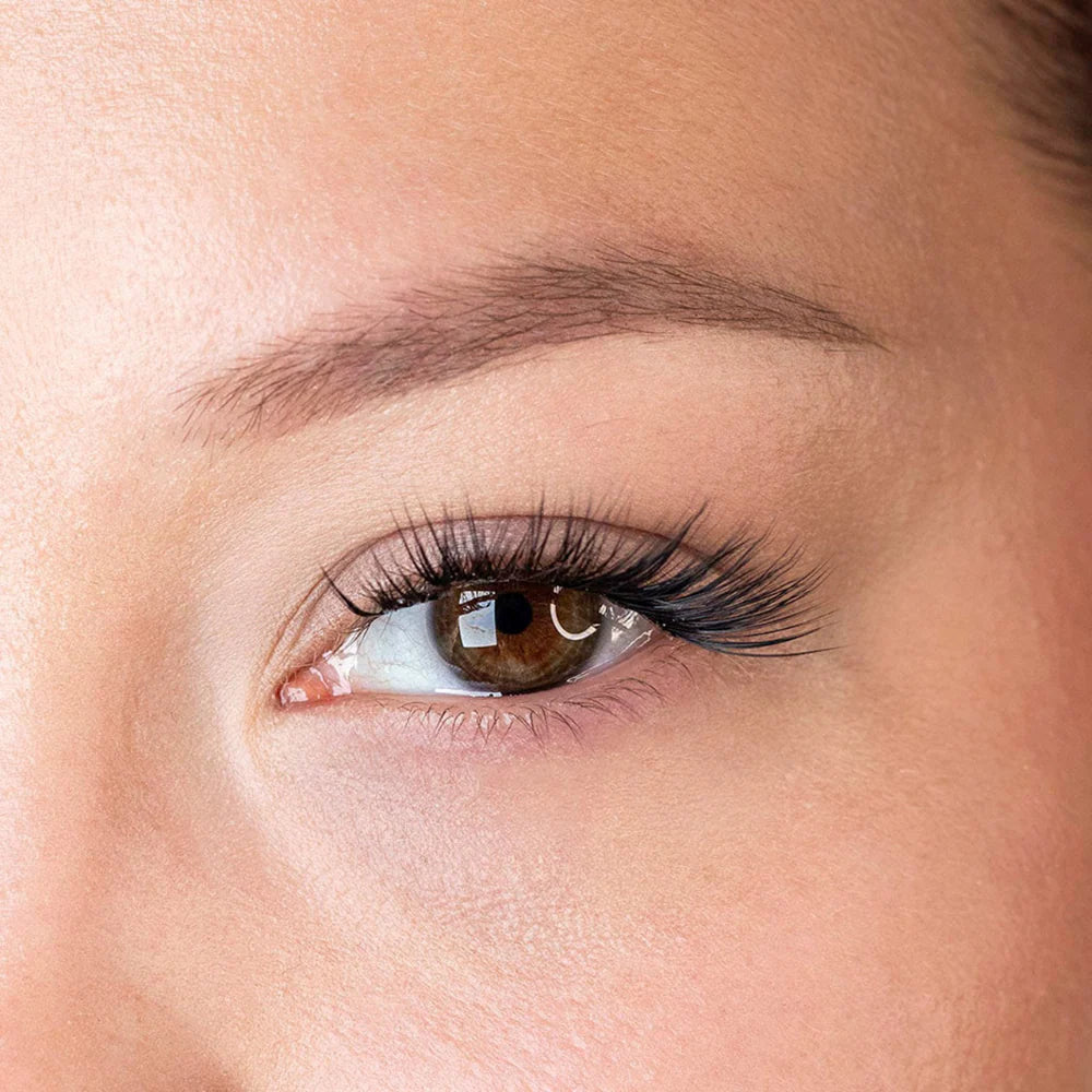 Press & Go Underlash Kit